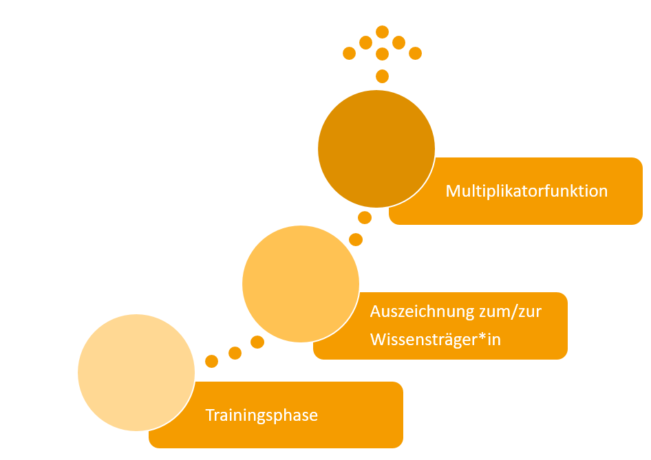 Projektablauf W-HochDrei